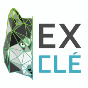 logo_excle_596